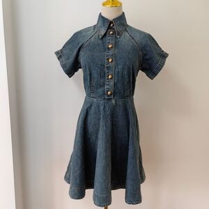 Zimmermann illustration Denim Flip Dress